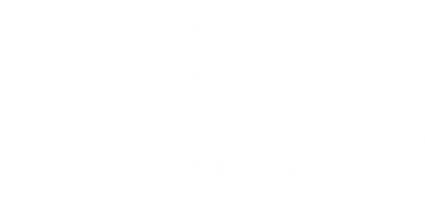 Birdz Studios
